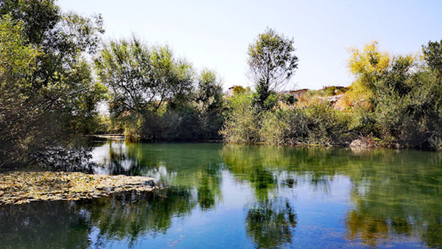 Saranda Camping "Riverside"