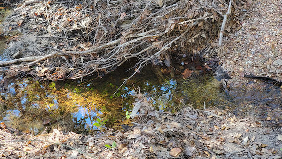 Mary Ellen Yost Memorial Dog Park