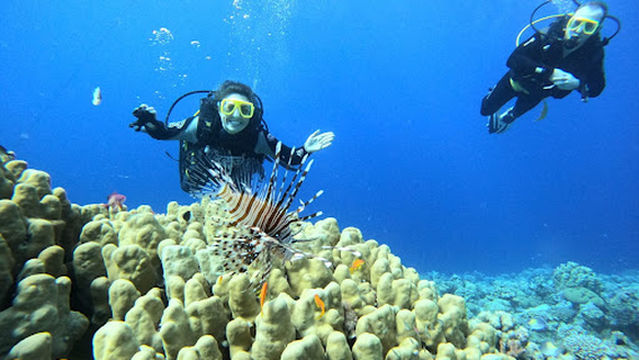 Aqaba International Dive Center