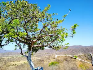 Pórtico do Santuário de Nossa Senhora das Graças