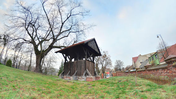 Mogilno County