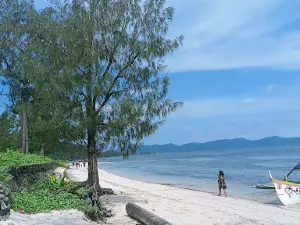 Masbate Island