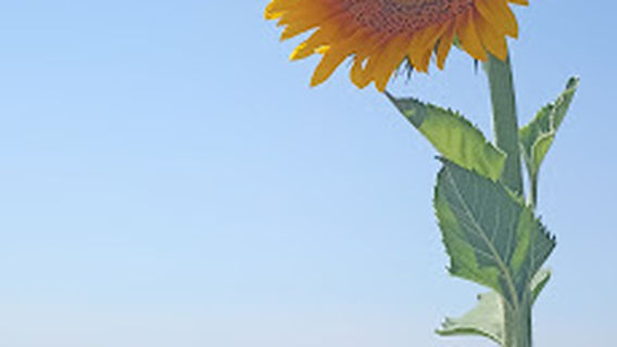 Sorgente Acqua di Cristo