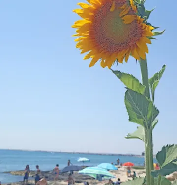 Sorgente Acqua di Cristo