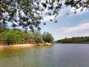 Travel Parks Ponds Lake Gupid Gading Rejo