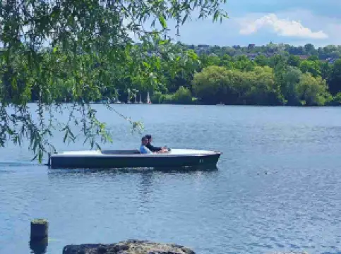 Fioriture Primaverili a Stoccarda: le opzioni più popolari