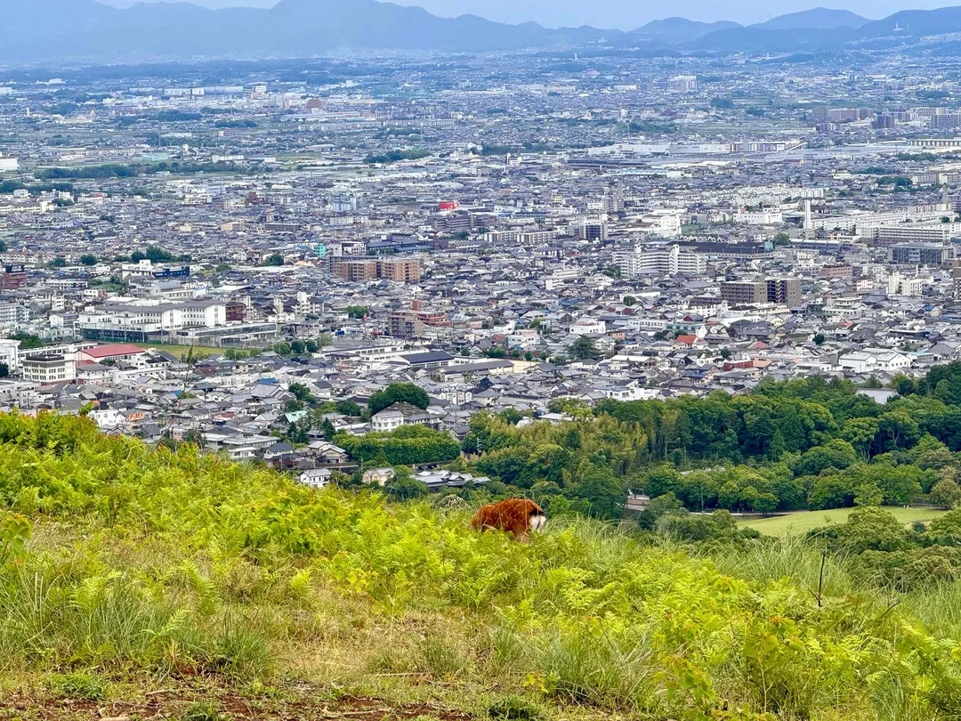3_Mount Wakakusa