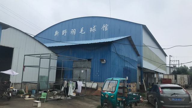 xin ye xian yu mao qiu guan