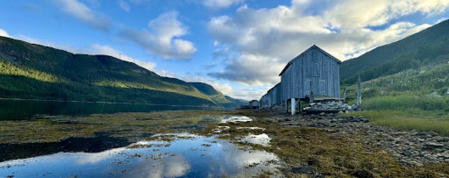 Snillfjord Camping