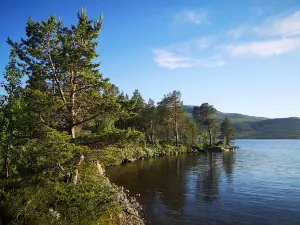 Skarå Seter og Camping