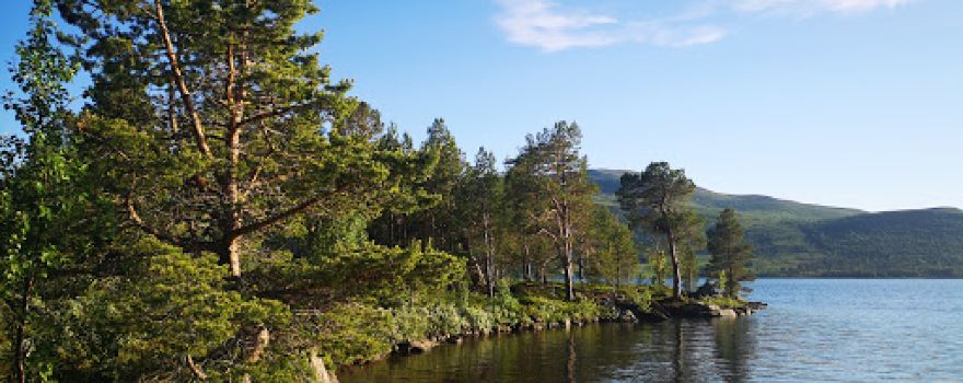 Skarå Seter og Camping