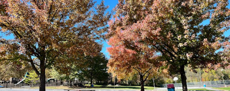 Loyd H Roland Memorial Park