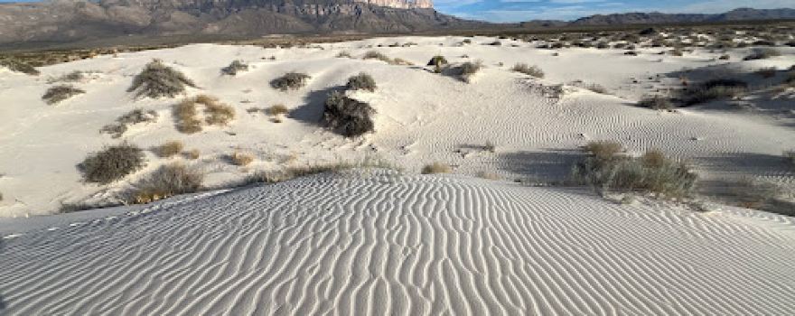 Salt Basin Dunes