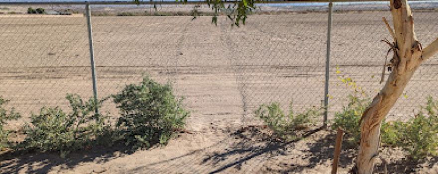Mohave Valley Community Park Disc Golf Course