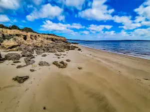 Browns Beach Campground