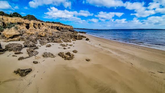 Browns Beach Campground ⛺️