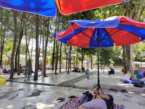 Kolam Renang Lembah Hijau Cisauk Landeuh