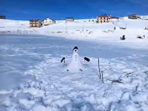 Campo Staffi 1.779m.