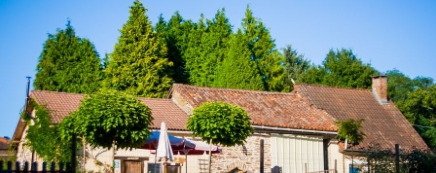 Hondencamping La-Soupèze, Paradijs voor hond én baas!