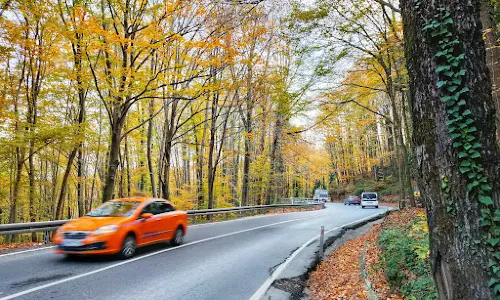 Belgrad Ormanı Koşu Parkuru