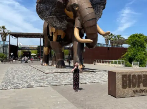 Popular Family-friendly Attractions in Cologne