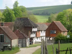 Weald & Downland Living Museum