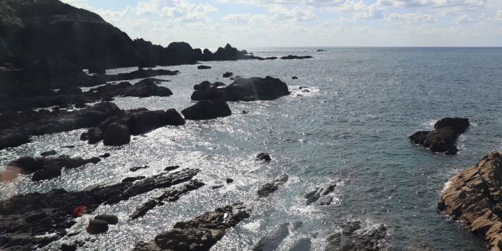 男鹿水族館GAO