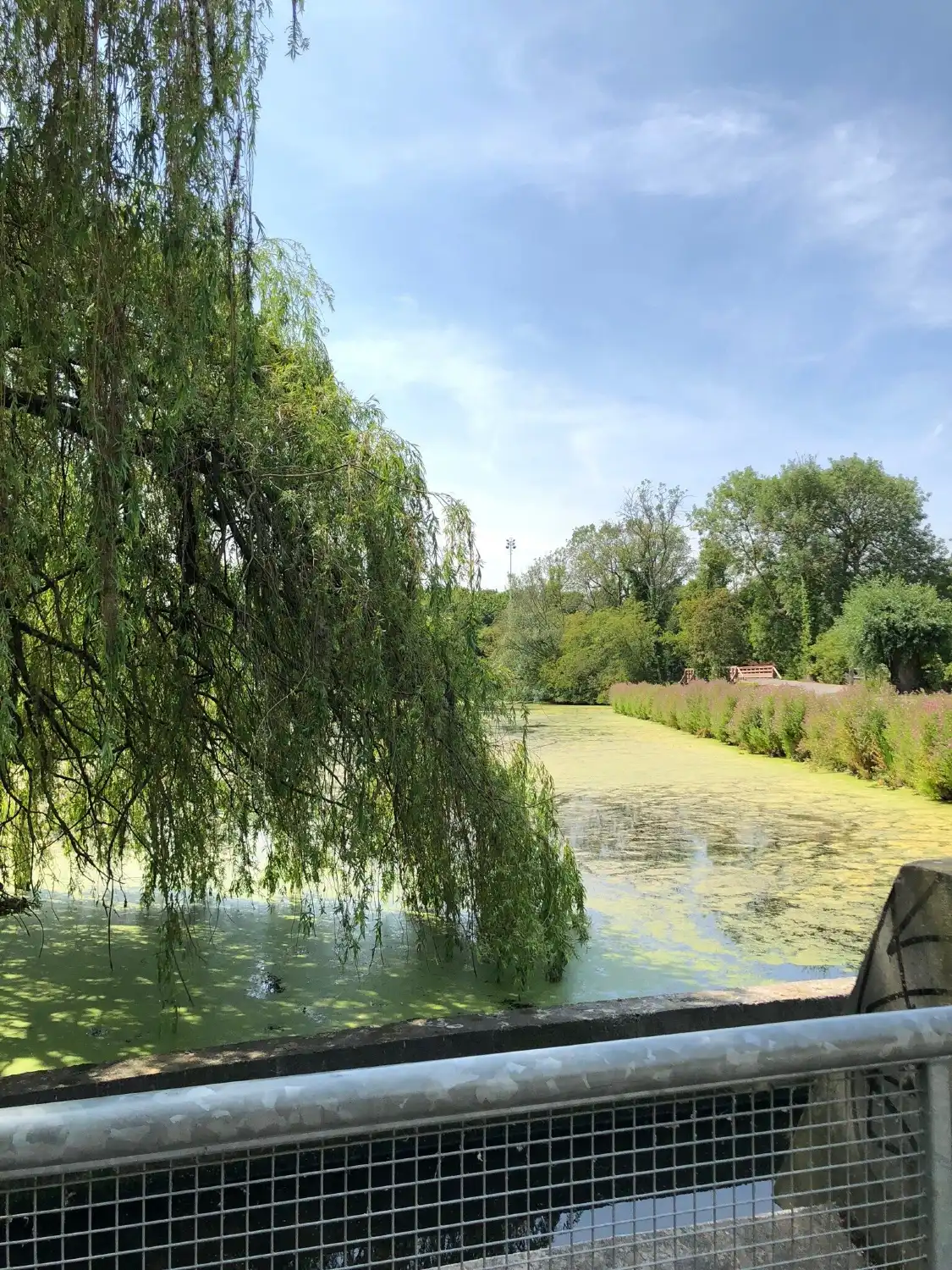Hotels near Parc du Heron
