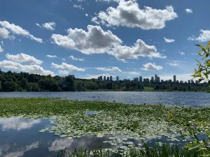 디어 레이크 공원