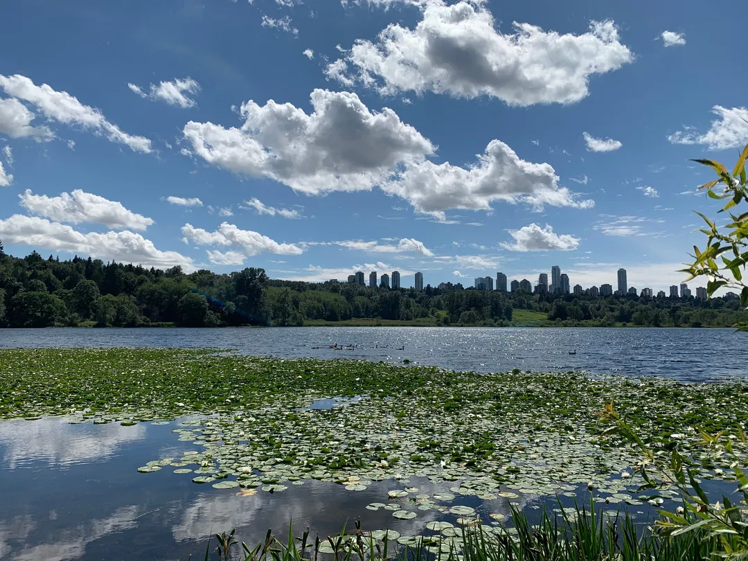 3_Deer Lake Park