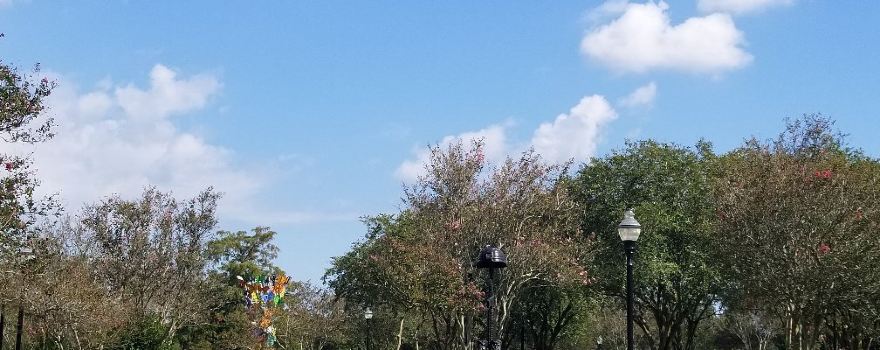 Lafreniere Park