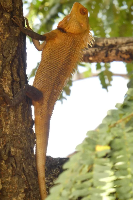 3_Nehru Park, Thrissur