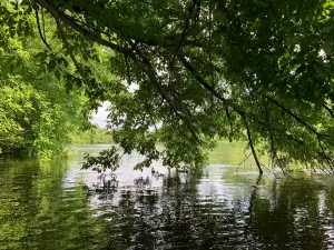 Regional Landscape Park Seymskiy