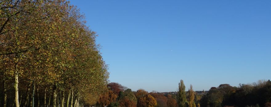 Woluwe-Saint-Pierre