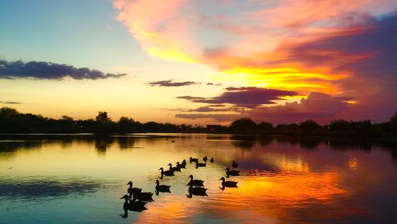 Veterans Oasis Park