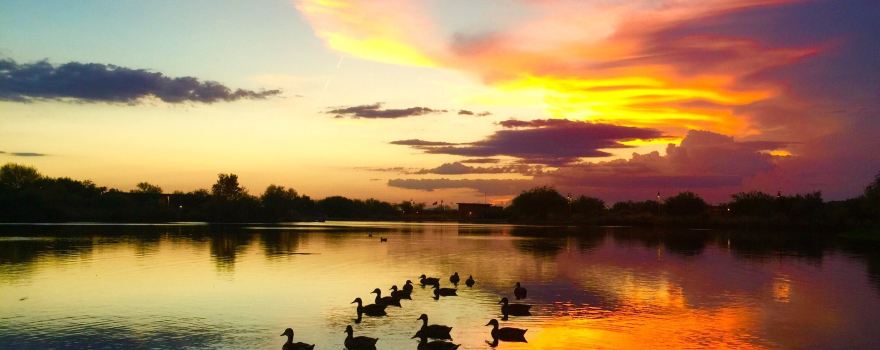 Veterans Oasis Park