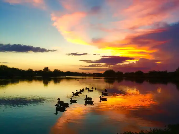 Residence Inn Hotels in Chandler