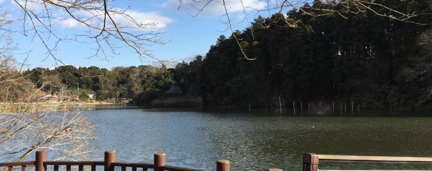 Sakatagaike Comprehensive Park