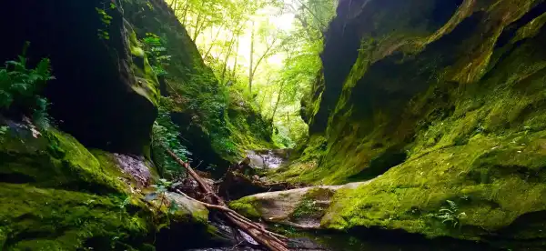 Hotels in Harrisburg