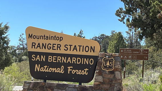 San Bernardino National Forest