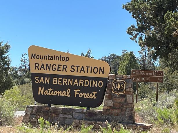 San Bernardino National Forest