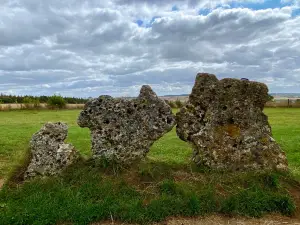 The Rollright Stones