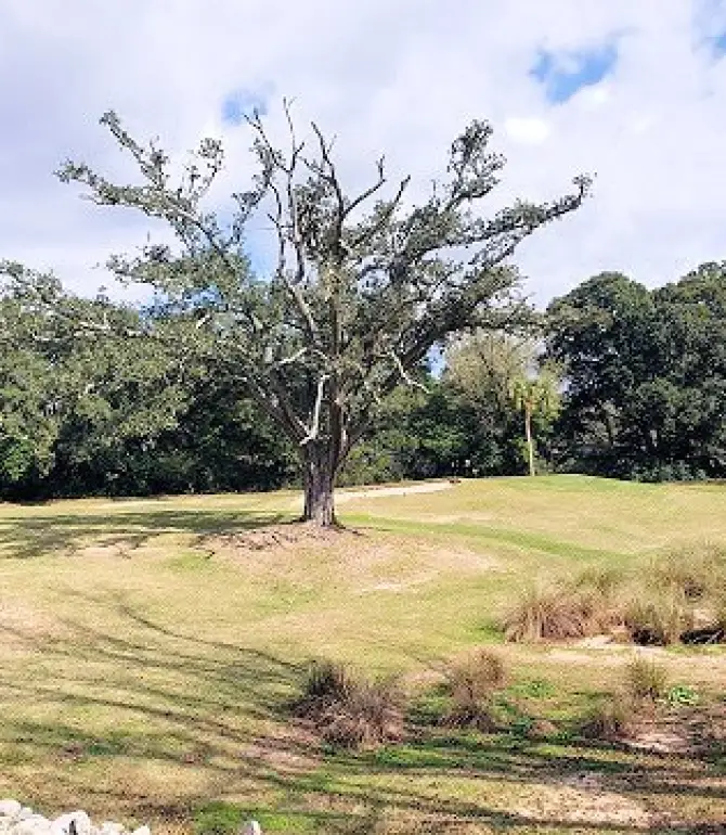 Myrtle Grove