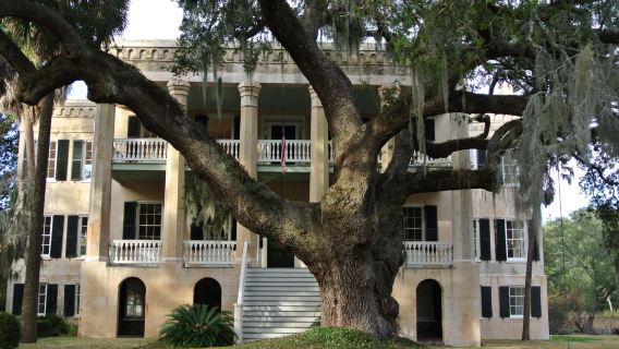 Gray Line Beaufort