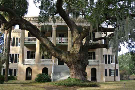 Gray Line Beaufort