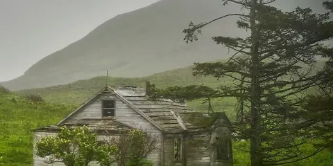 Unga Island