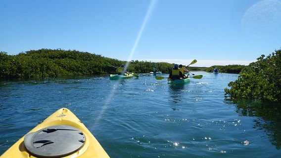 Baja Discovery