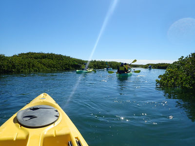 Baja Discovery