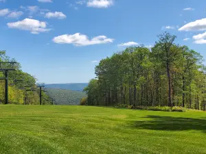 Bristol Mountain Ski Resort