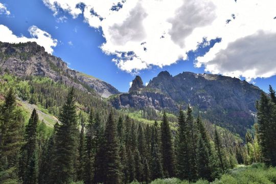 Bear Creek Falls Trail
